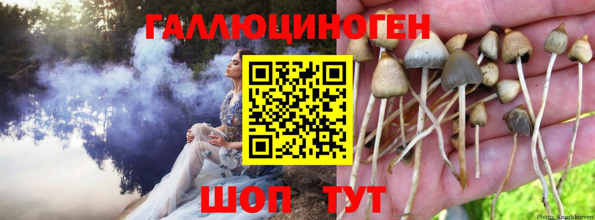 Псилоцибиновые грибы Magic Shrooms  Псилоцибиновые грибы прущие грибы  Вход с VPN  Керчь 